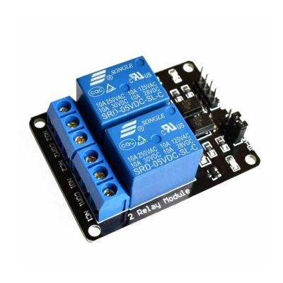 12V 2 Channel Relay Card (Compatible with Development Boards) Buy ...